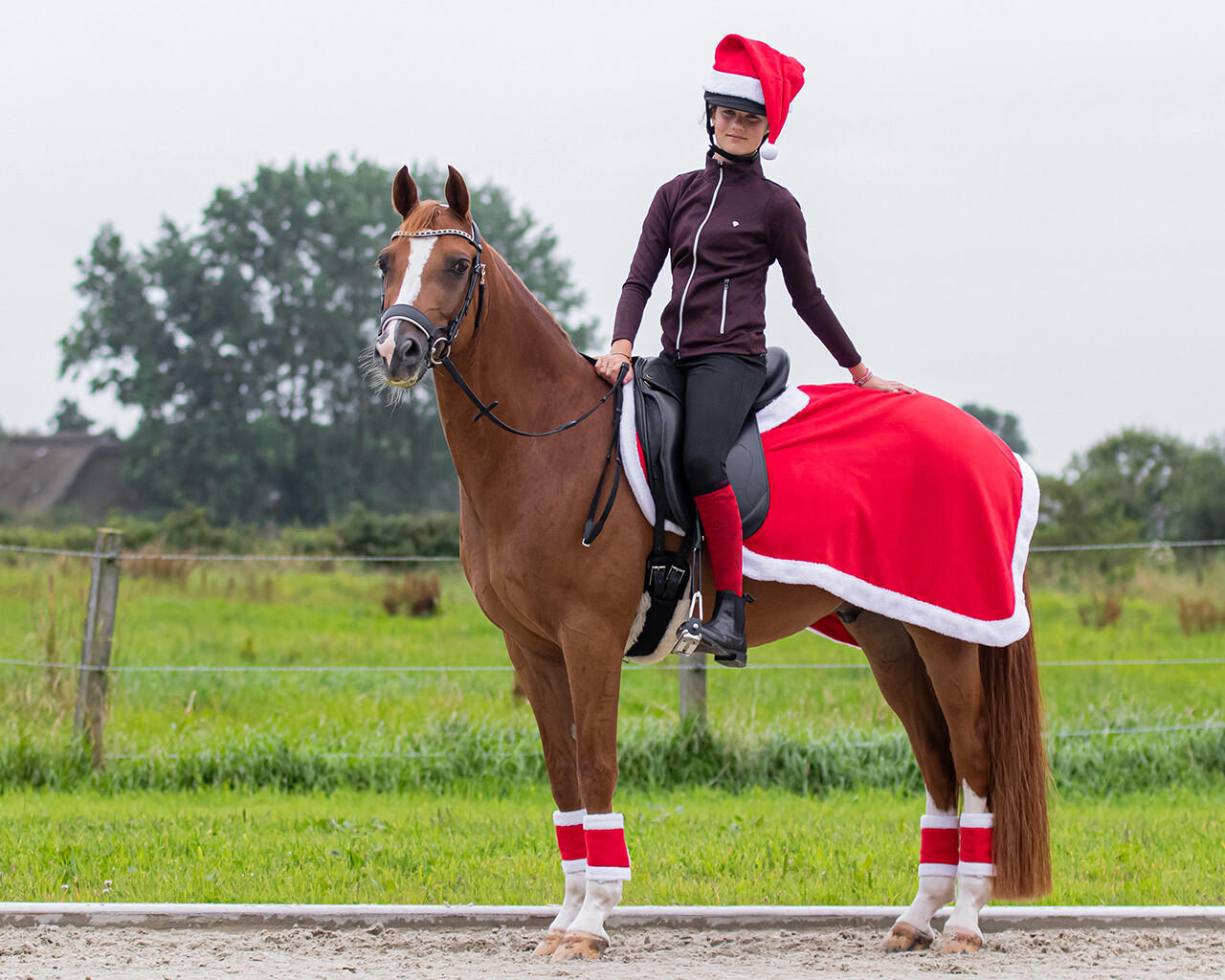 QHP Couvre-reins de Noël