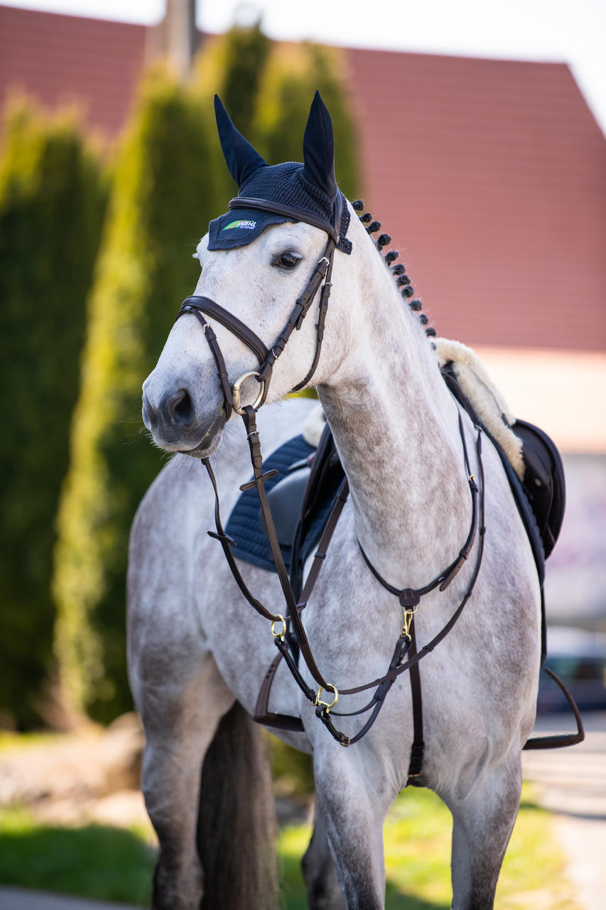 Passier Martingale - en cuir de bride fin