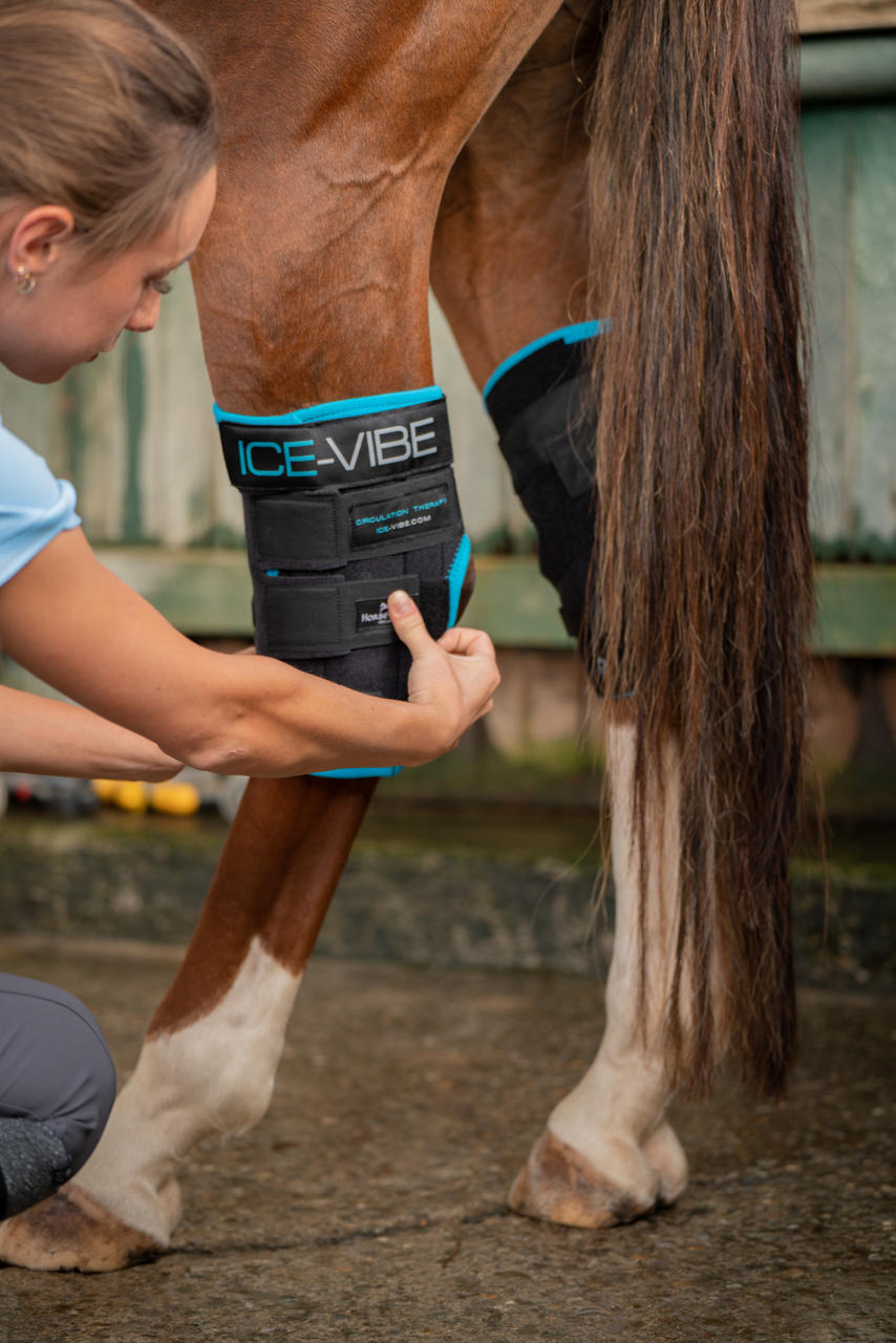 Horseware Ice Vibe Hock Wrap