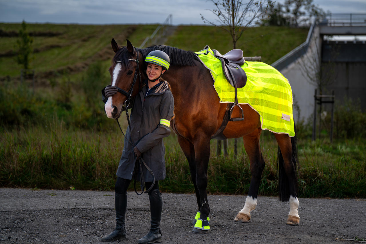 Bande réfléchissante pour casque d'équitation