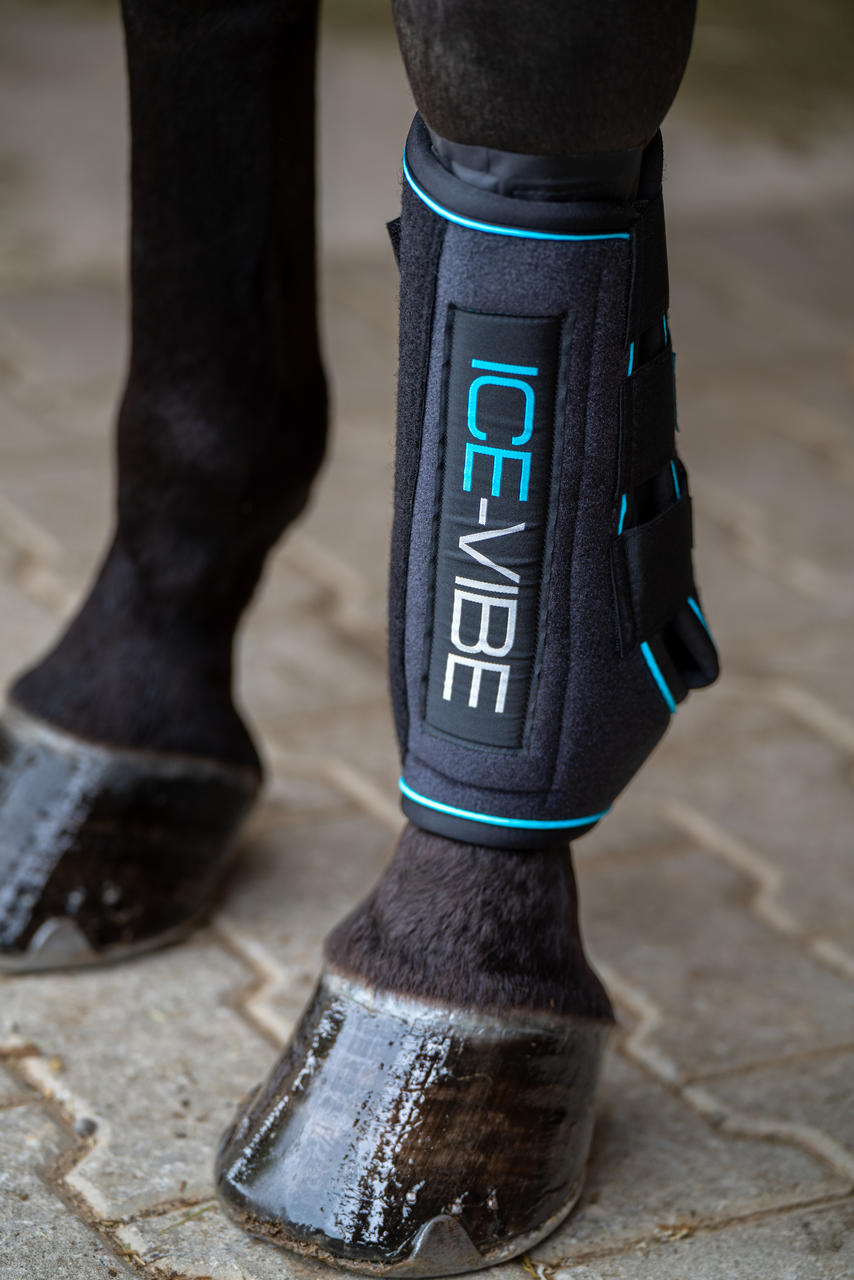 Horseware Guêtres Ice Vibe