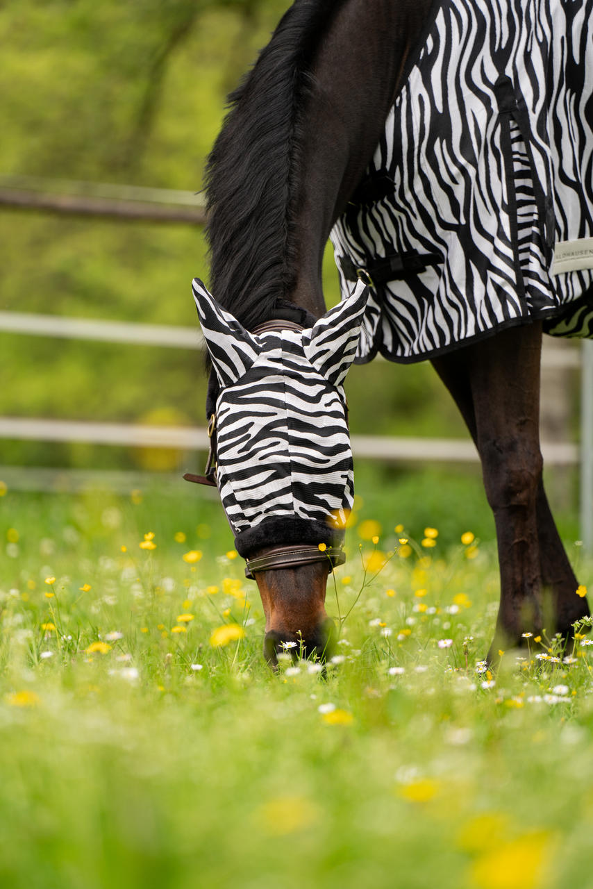 Waldhausen Masque anti-mouches Zebra