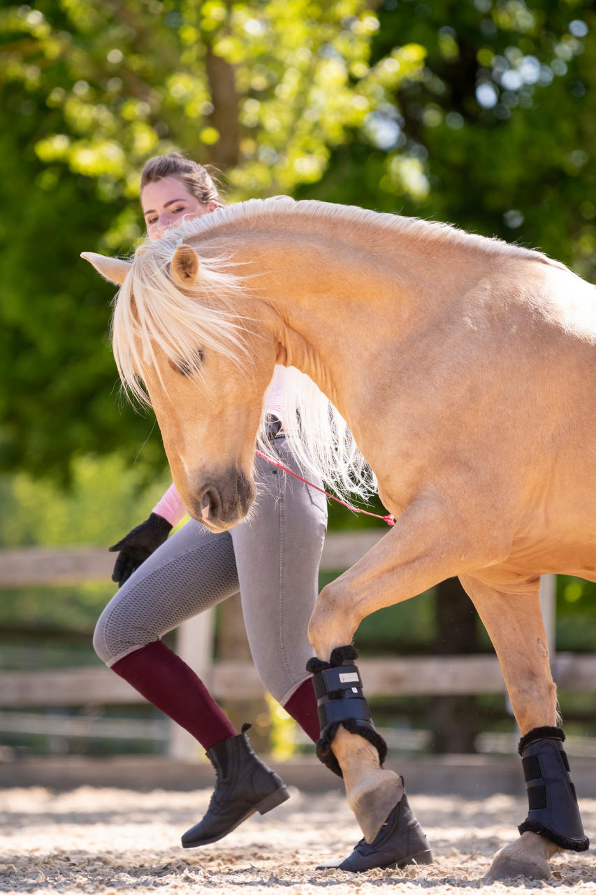 Waldhausen Guêtres de dressage Soft