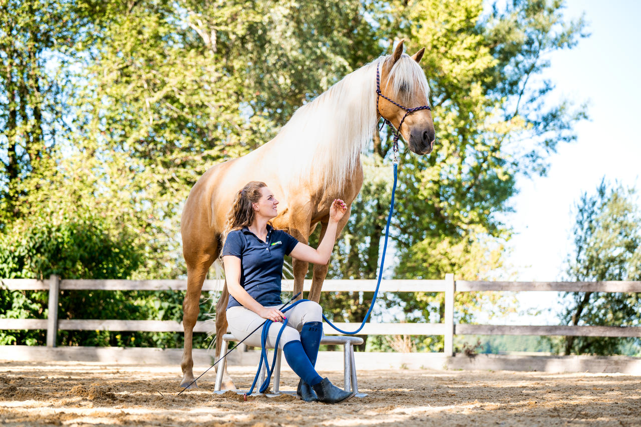 Longe Westernrope avec mousqueton anti-panique