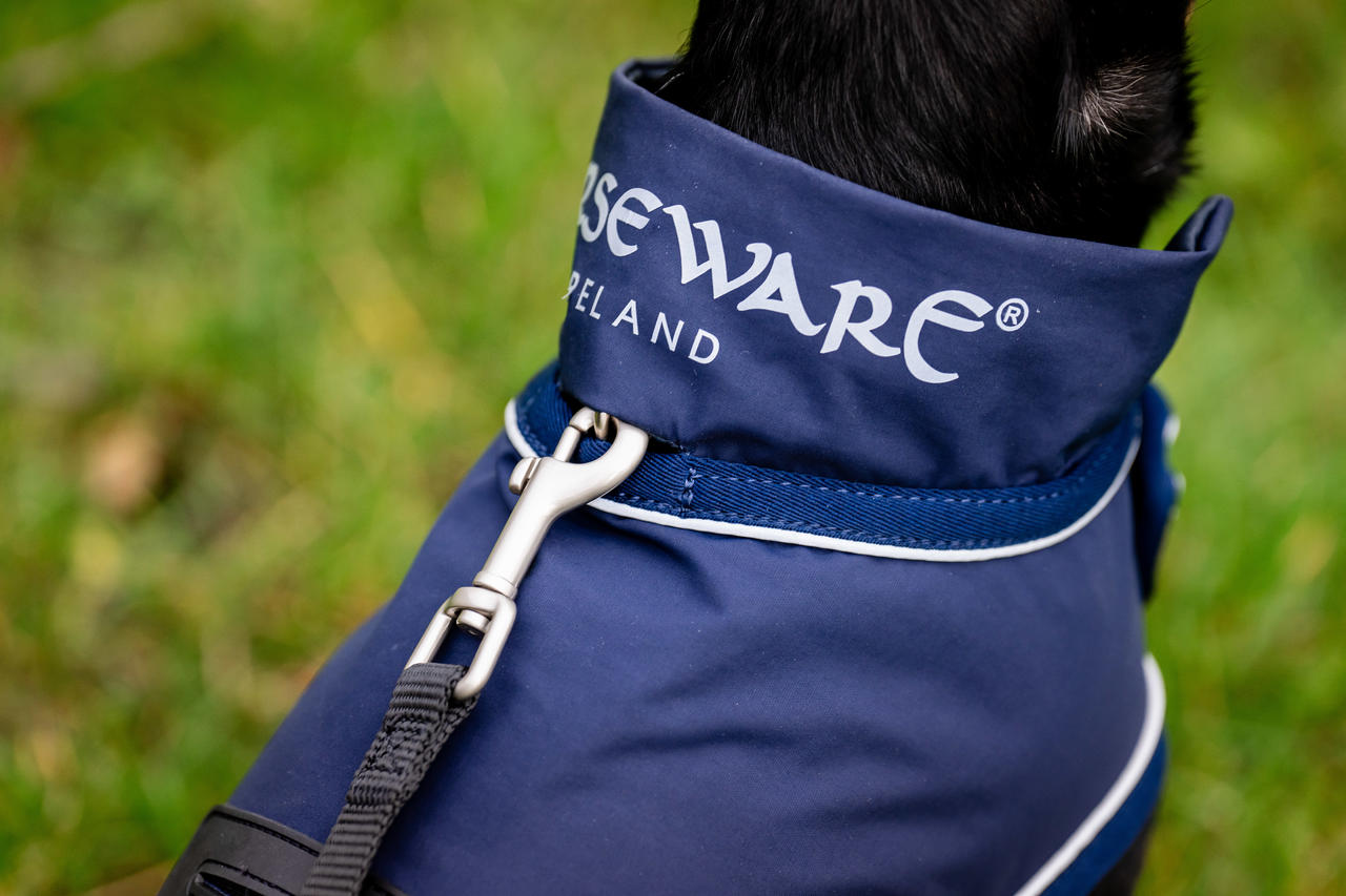 Horseware Manteau imperméable Signature pour chien