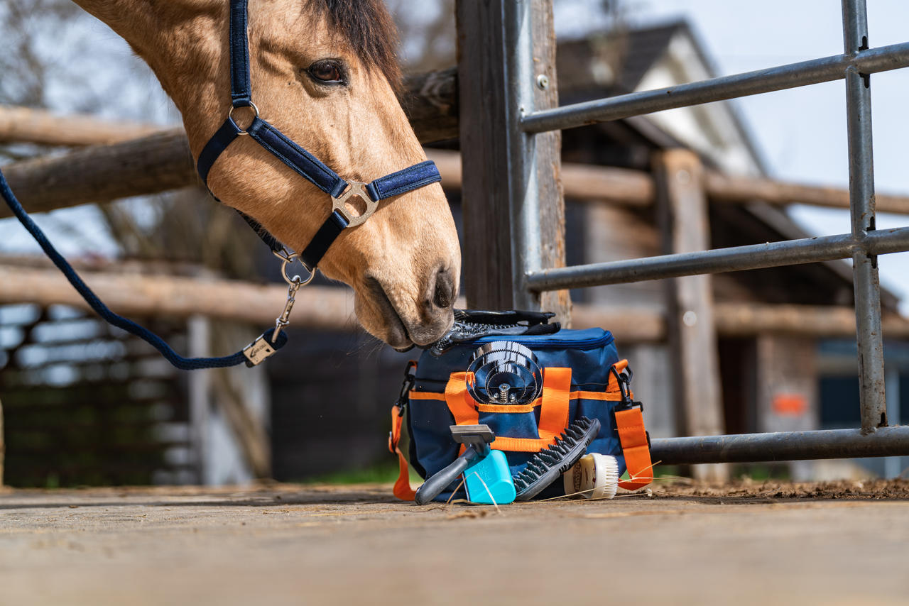 Covalliero Sac pour produits d'entretien