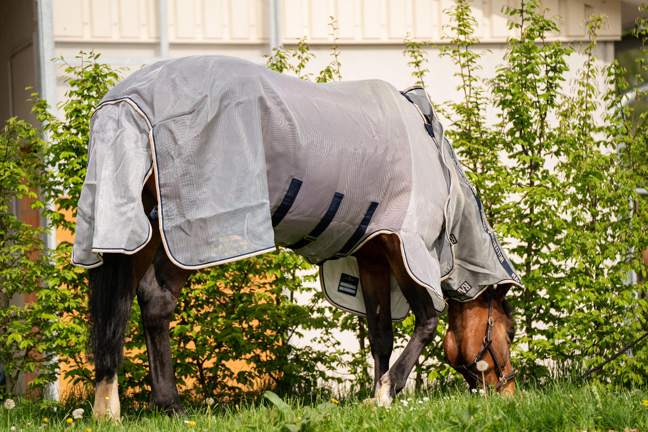 Horseware Chemise Rambo Protector Plus