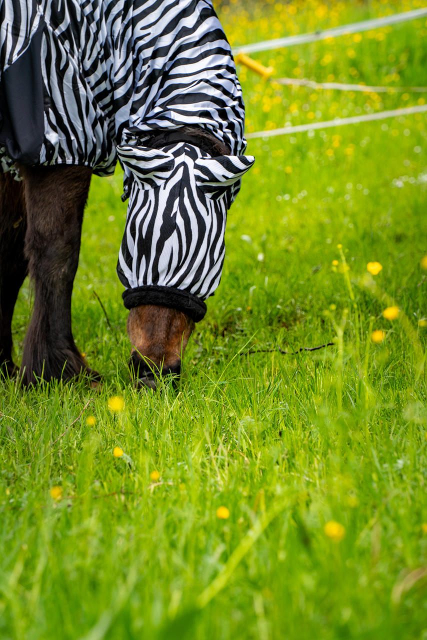 Waldhausen Masque anti-mouches Zebra