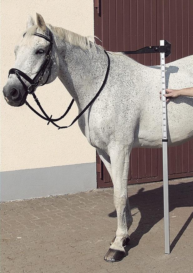 USG Toise cheval en aluminium