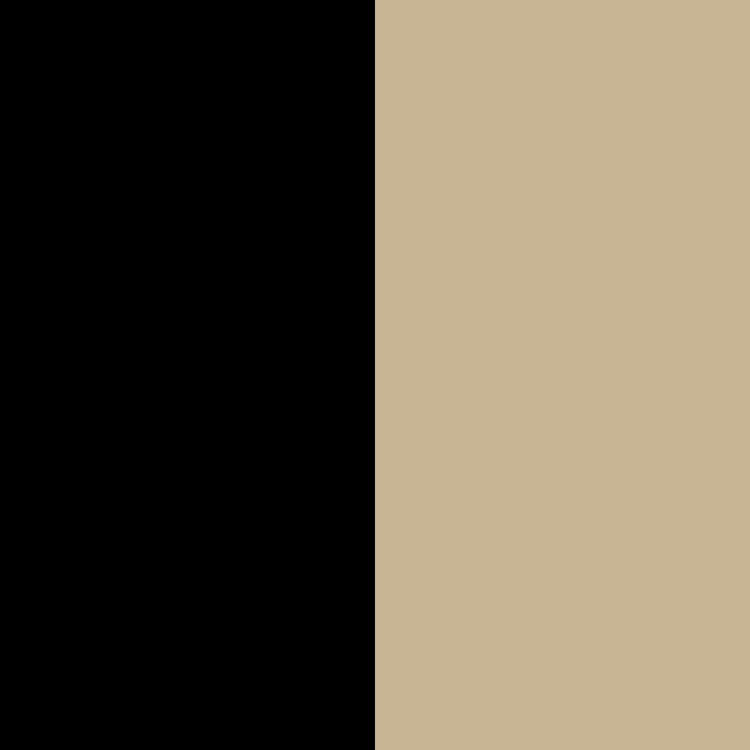 noir/beige