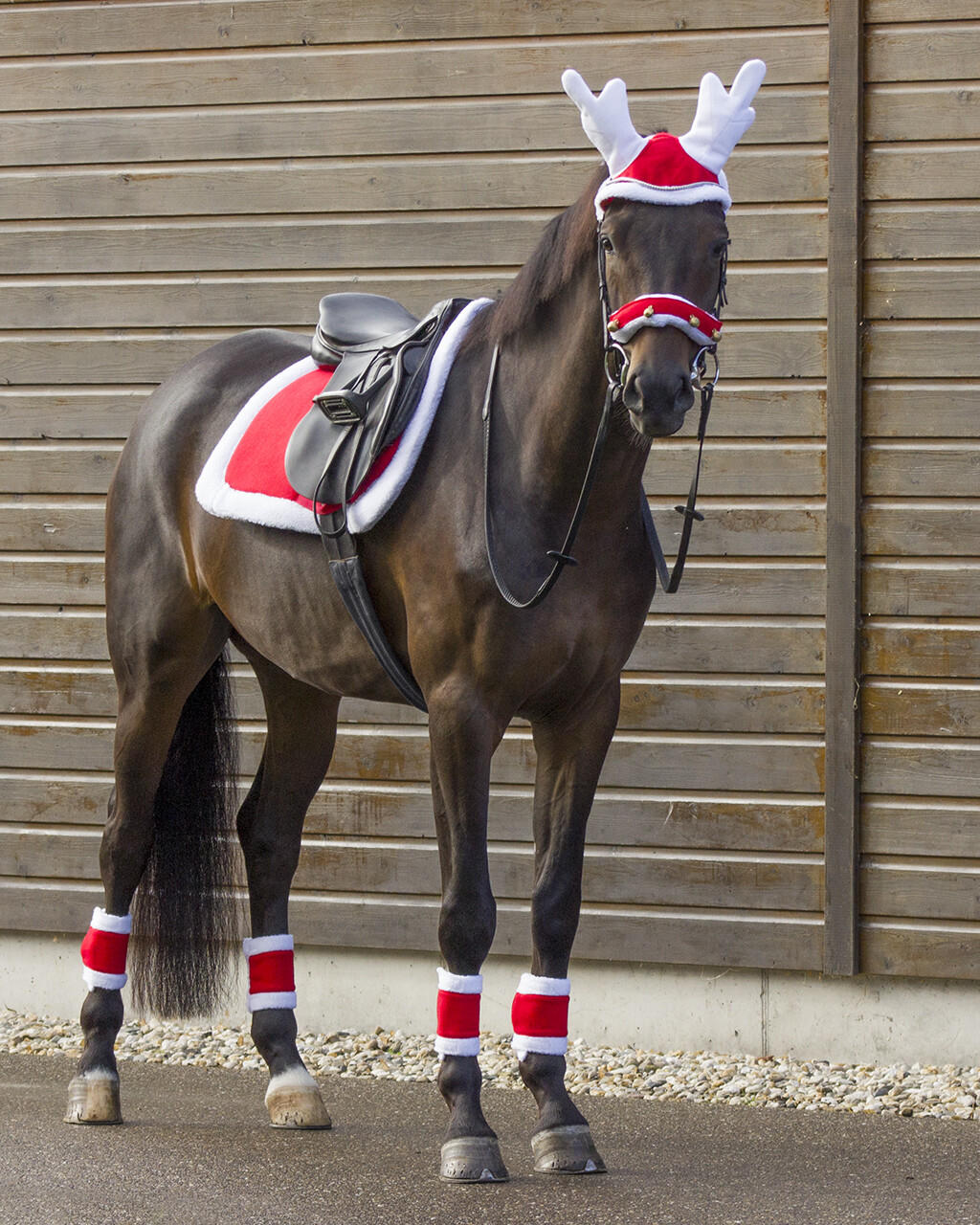 QHP Tapis de selle pour Noël