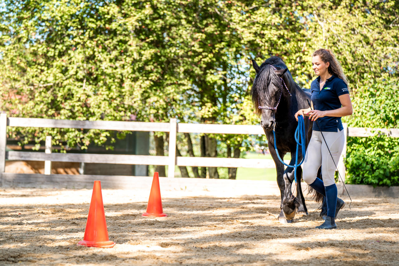 Longe Westernrope avec mousqueton anti-panique