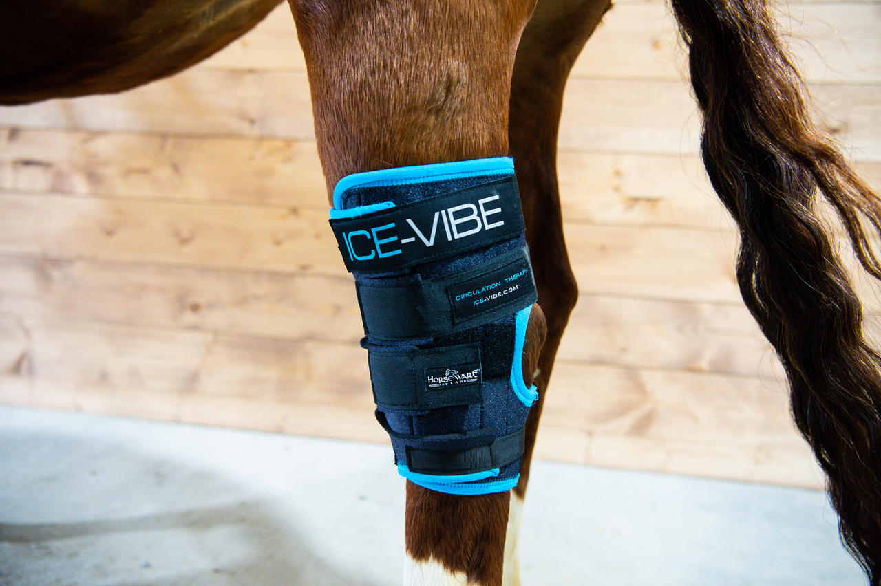 Horseware Ice Vibe Hock Wrap