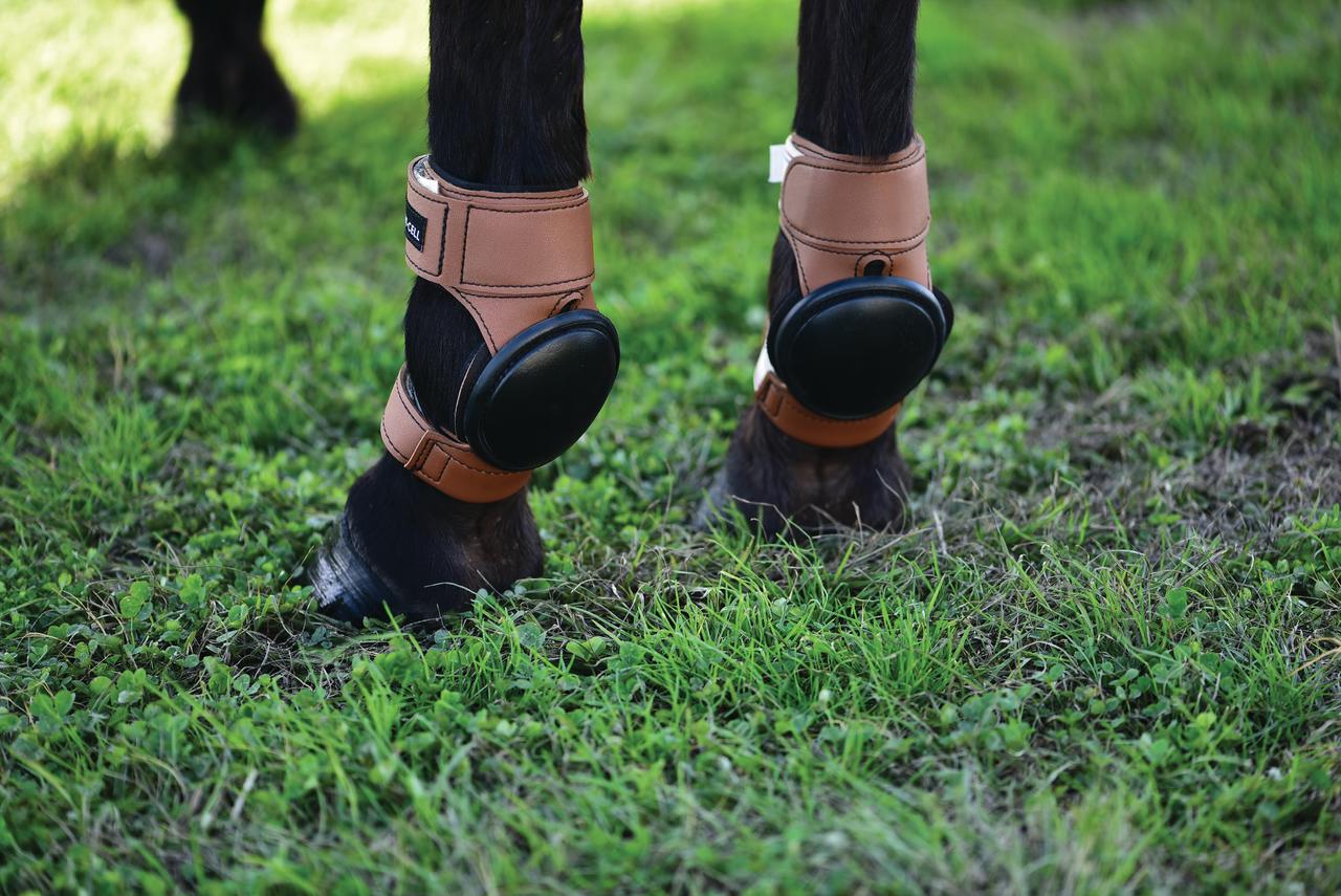 LAMI-CELL Protège boulet arrière en cuir de reining avec fermeture velcro