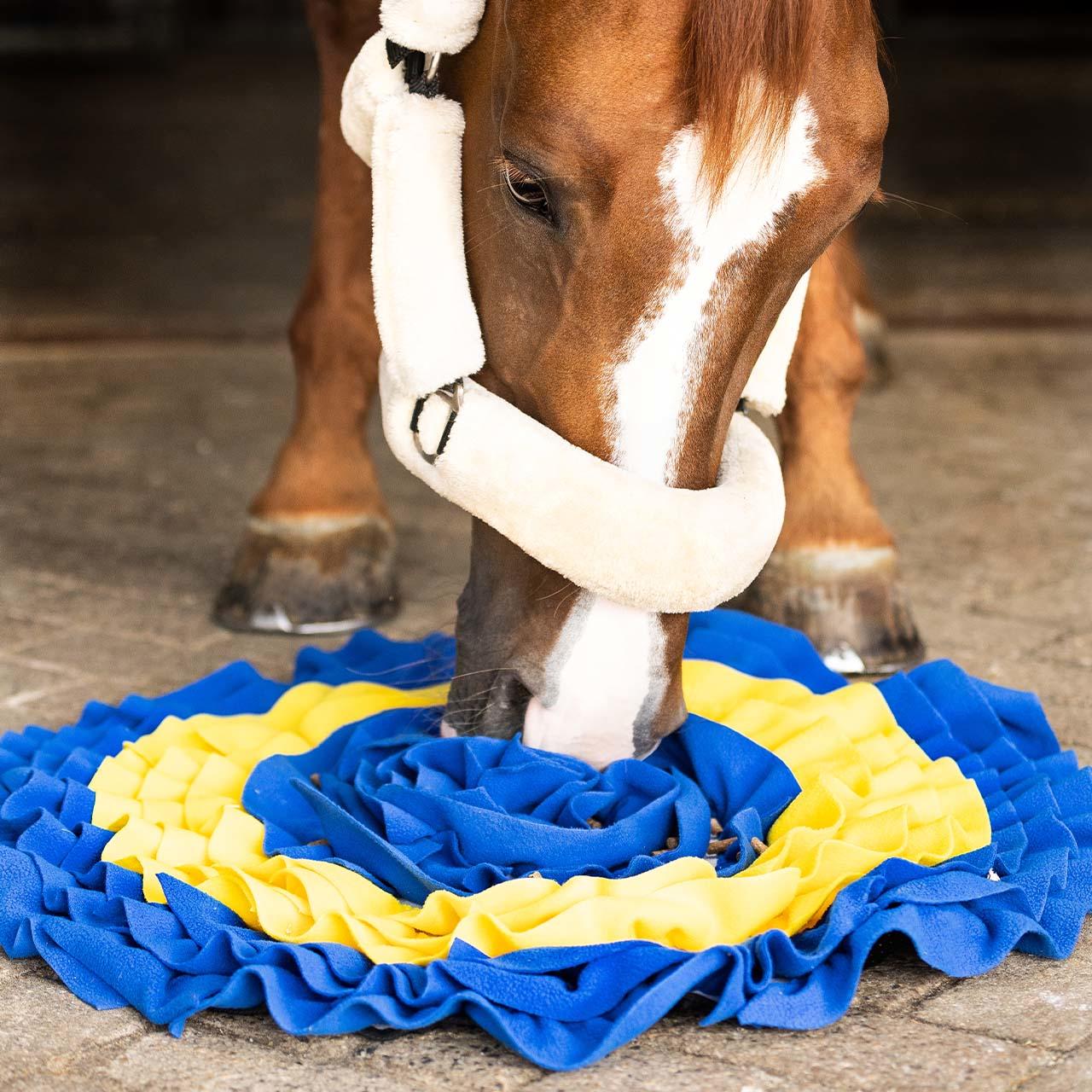 QHP Tapis de fouille pour cheval