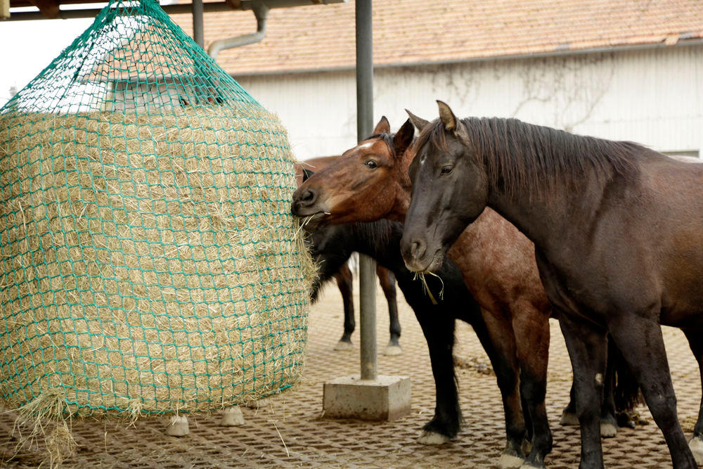 Filet à foin pour balles rondes – suspendu