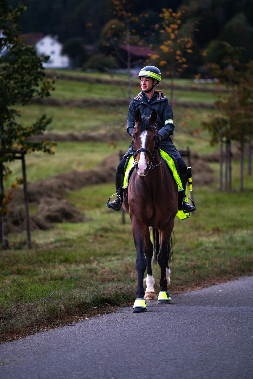 Bande réfléchissante pour casque d'équitation