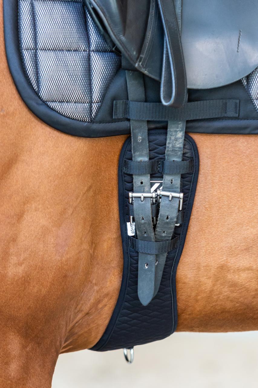 LAMI-CELL Sangle de dressage V22