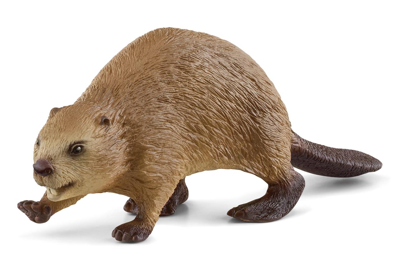 Schleich Castor