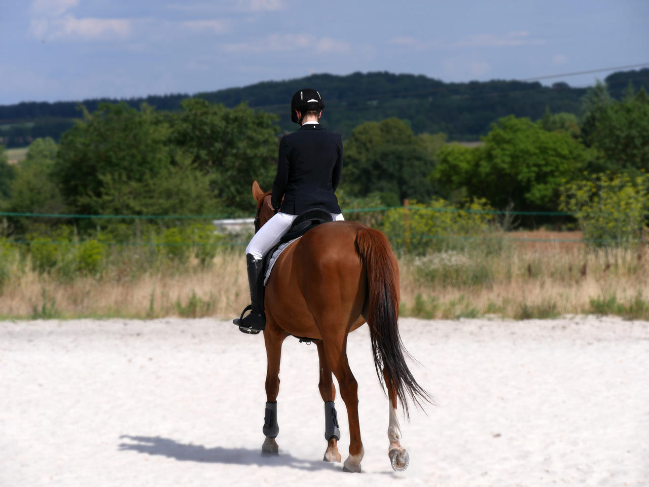 Helite Veste de concours Airjump