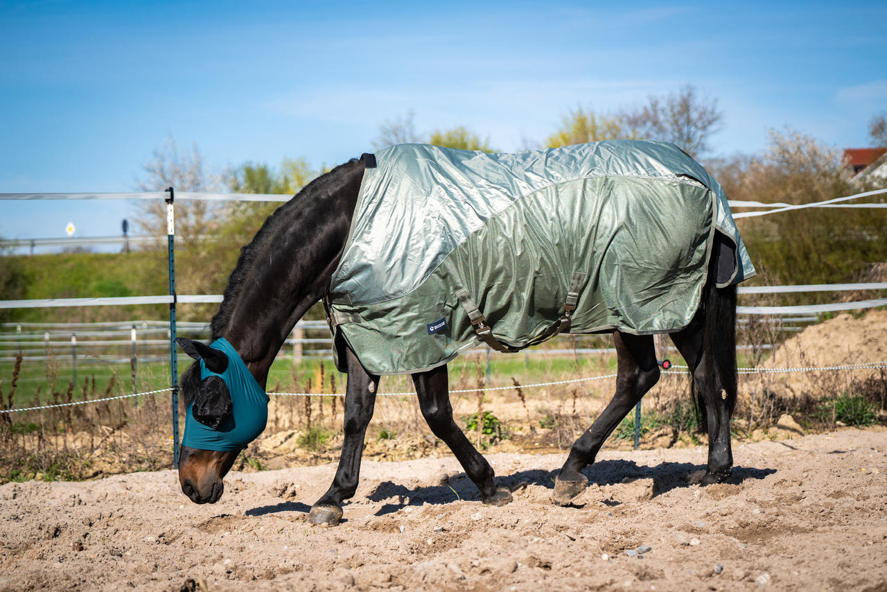 Busse Couverture de Paddock RAINFLY