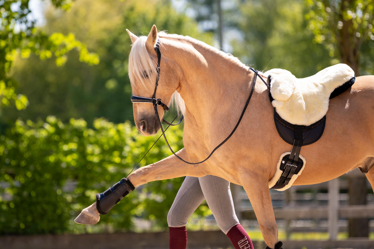 F.R.A. Selle avec fourrure Macon extra