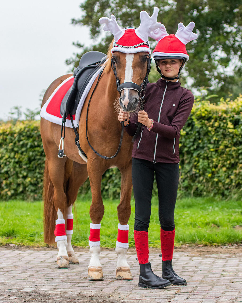 QHP Bonnet renne pour casque d'équitation