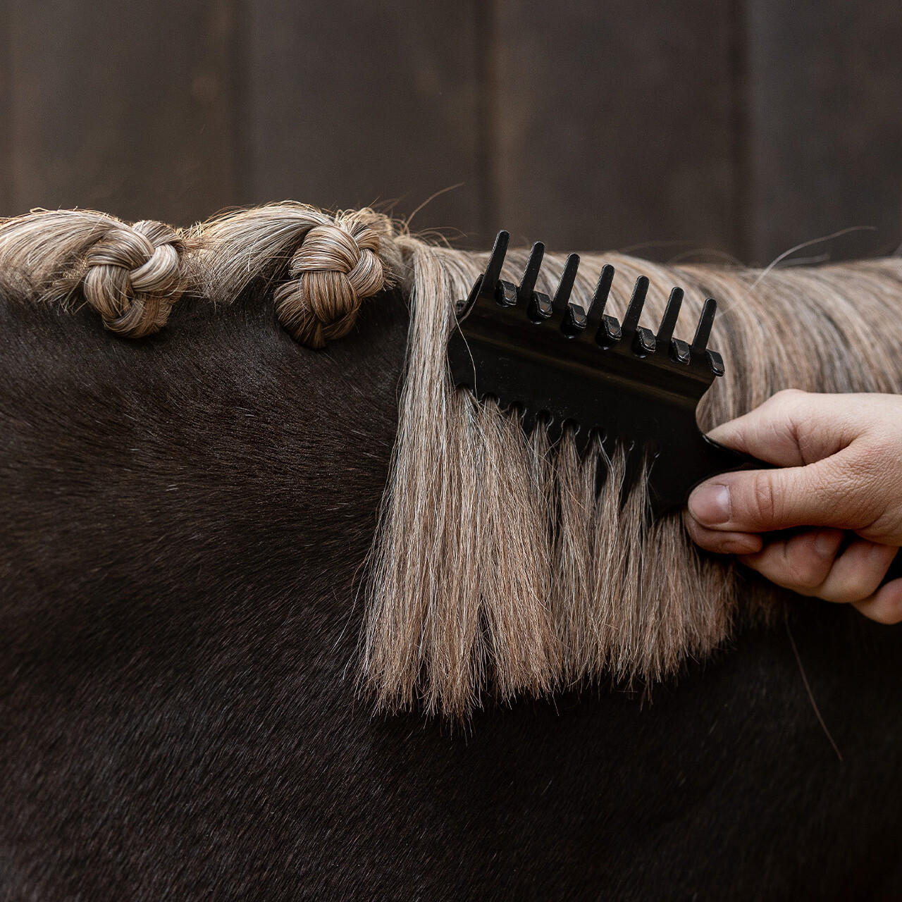 Q-Essentials Peigne de crinière avec clip