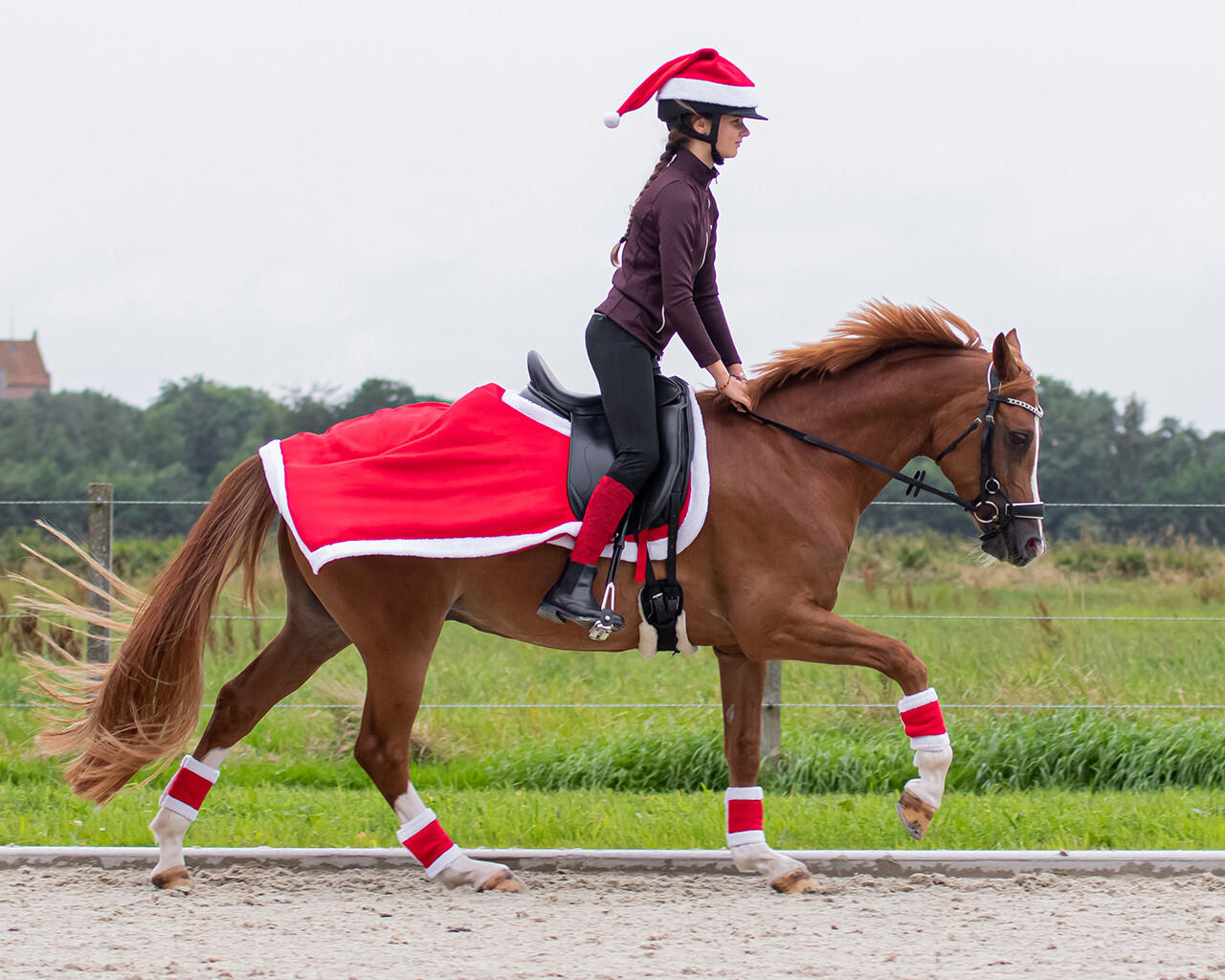 QHP Couvre-reins de Noël