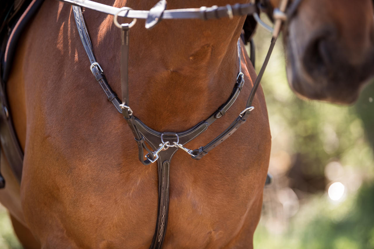 Kavalkade Collier de chasse Diandro