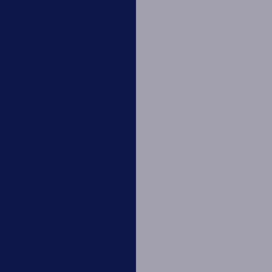 navy/gris