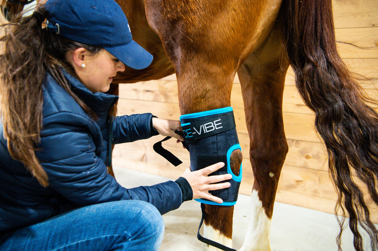 Horseware Ice Vibe Hock Wrap