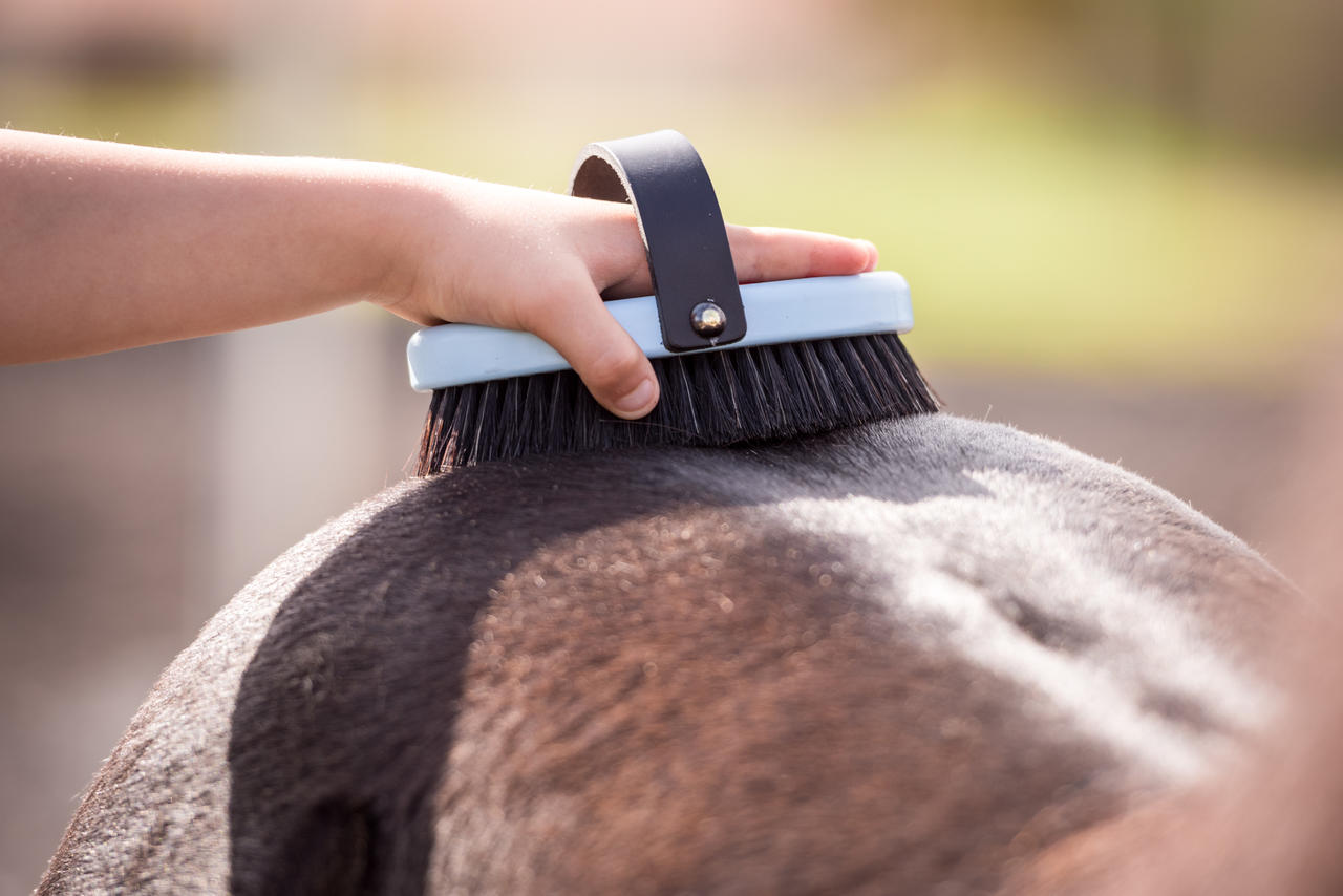 Leistner Brosse à panser "Feenstaubbürste" (à poussière de fée) – pour enfants