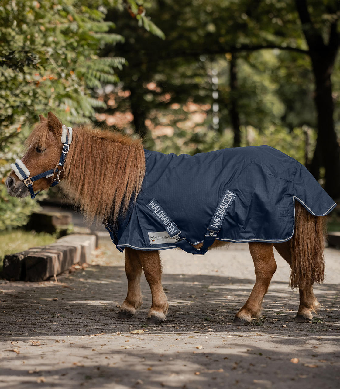 Waldhausen Chemise de Pluie Shetty