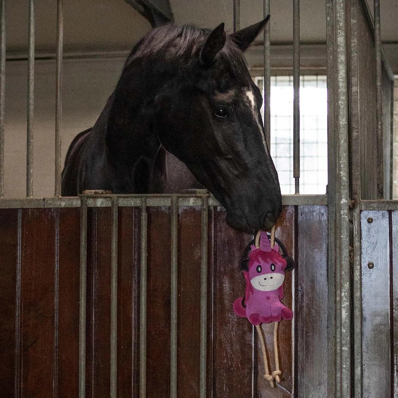 QHP Jouet pour chevaux Sterrin