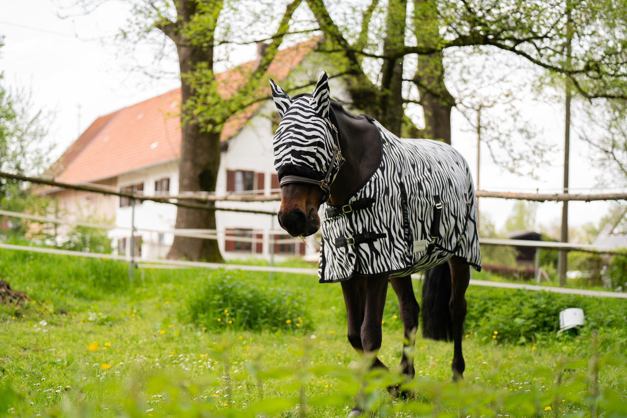 Waldhausen Chemise anti-mouches Zebra