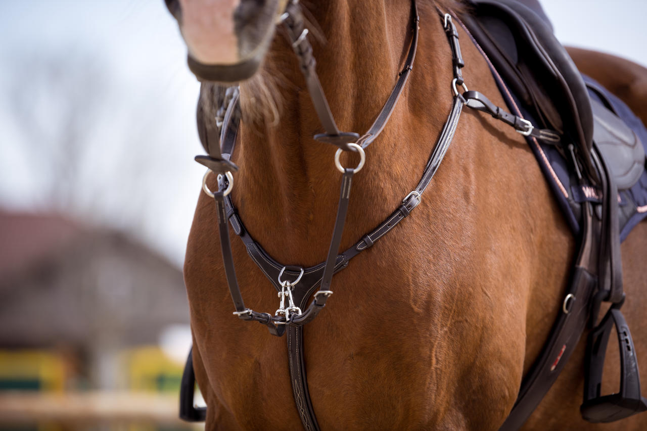 Kavalkade Collier de chasse Diandro