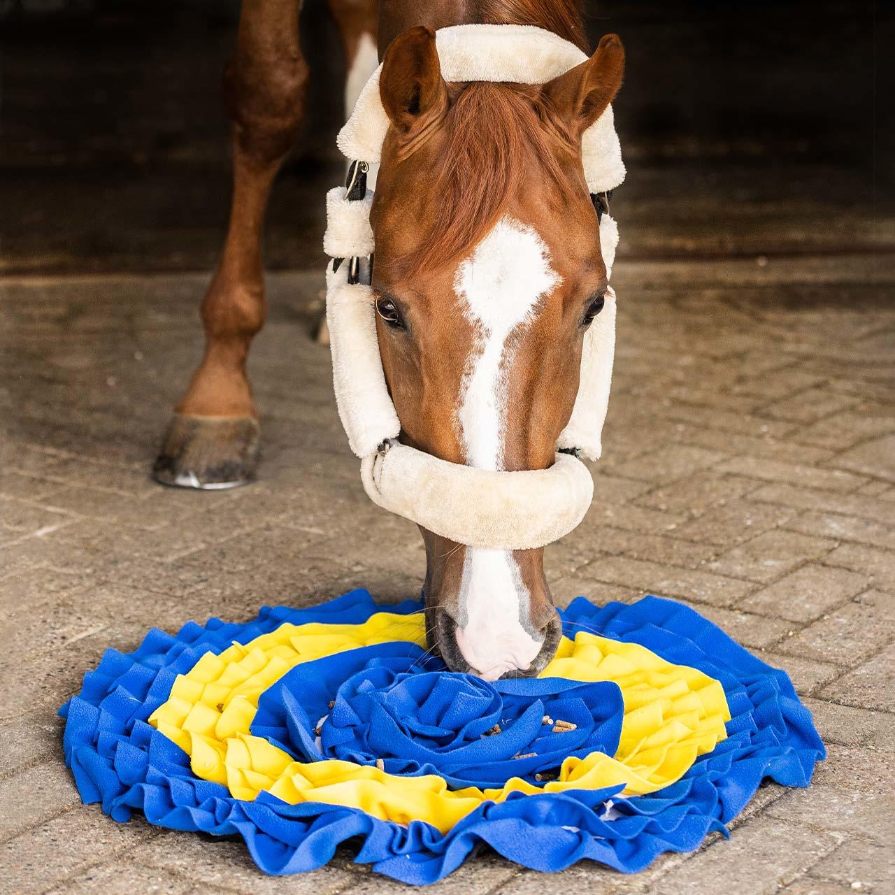 QHP Tapis de fouille pour cheval