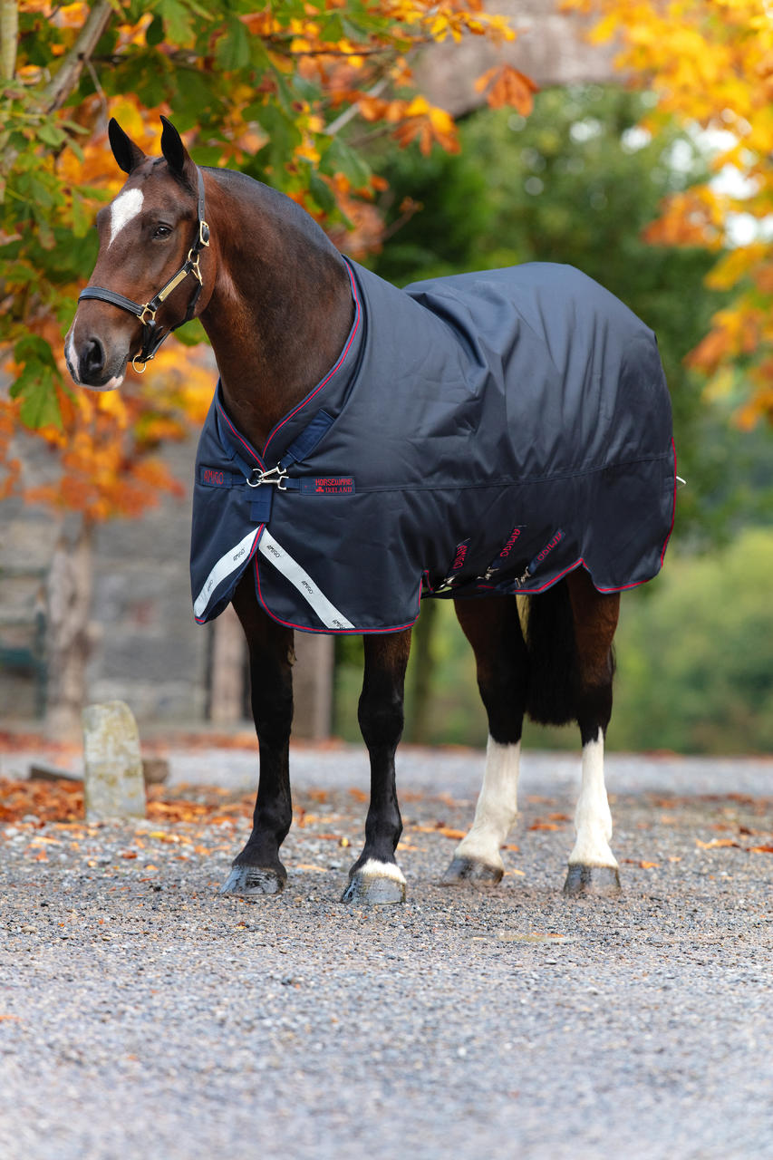 Horseware Couverture d'extérieur Amigo® Bravo 12 XL (Légère 0g)