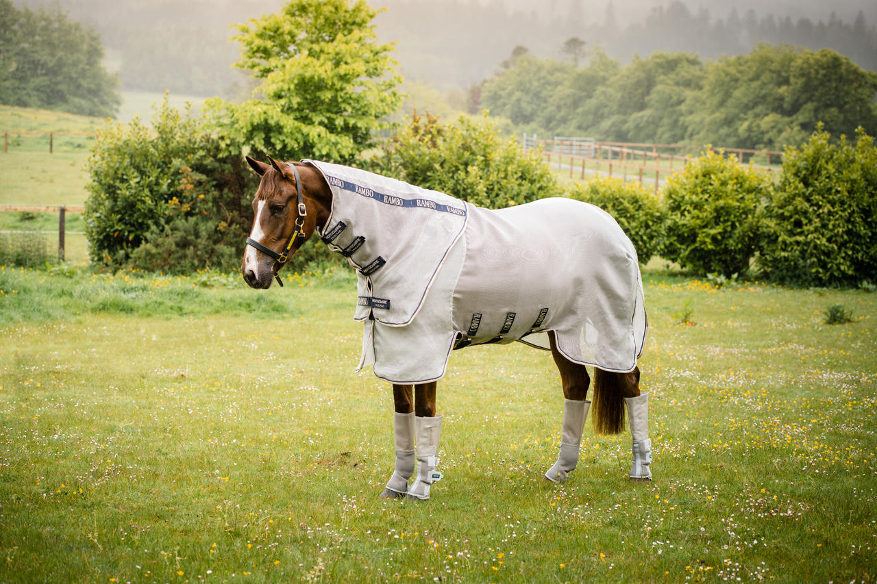 Horseware Chemise Rambo Protector Plus