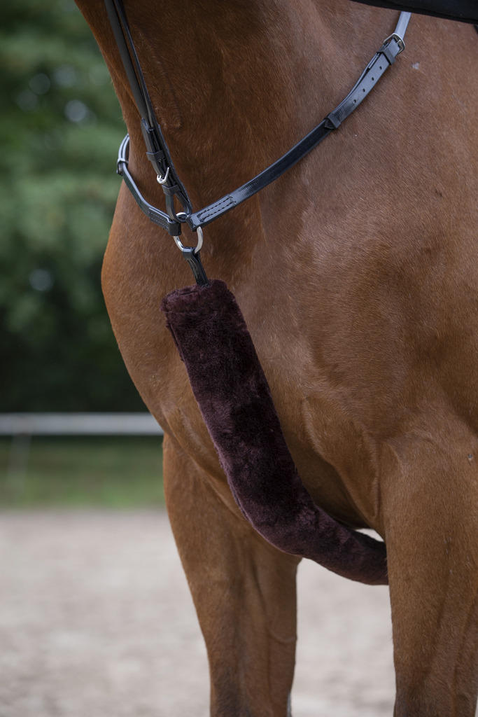 Equithème Fourreau pour collier de chasse „Teddy"