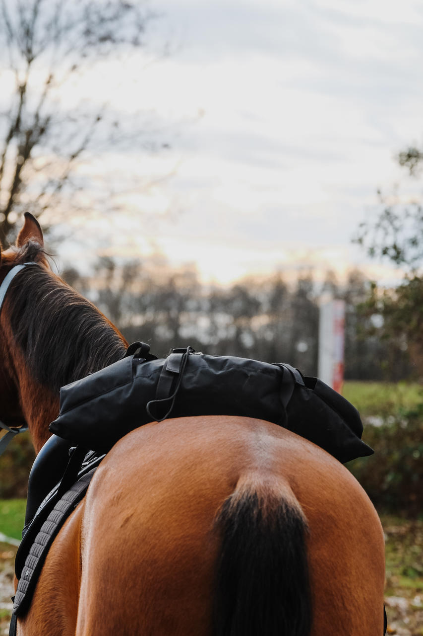 RANDOL'S Sacoche de selle "Banane"