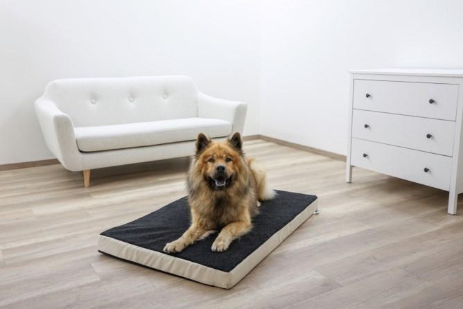 Kerbl Matelas en mousse à mémoire de forme pour chiens