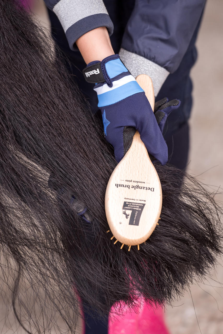 Leistner Brosse pour crinière et queue Detangler