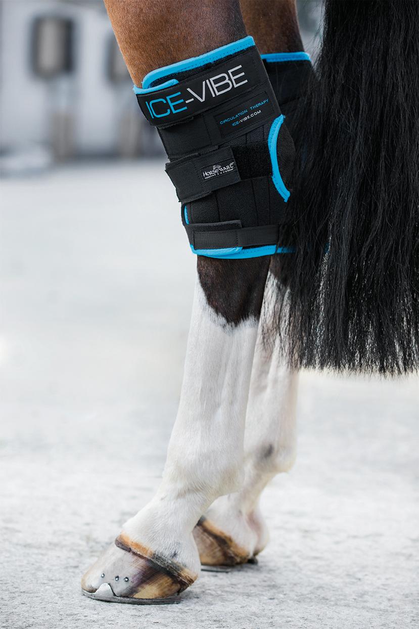 Horseware Ice Vibe Hock Wrap