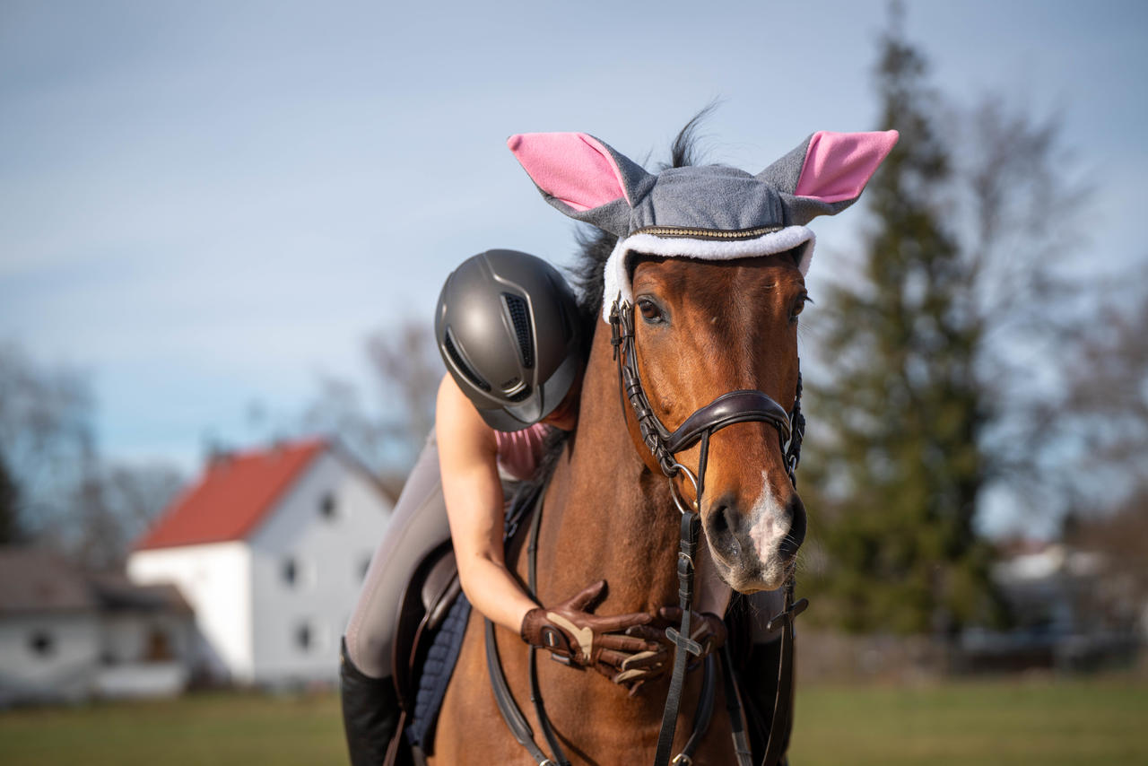 QHP Bonnet anti-mouches en forme d'oreilles de lapin de pâques