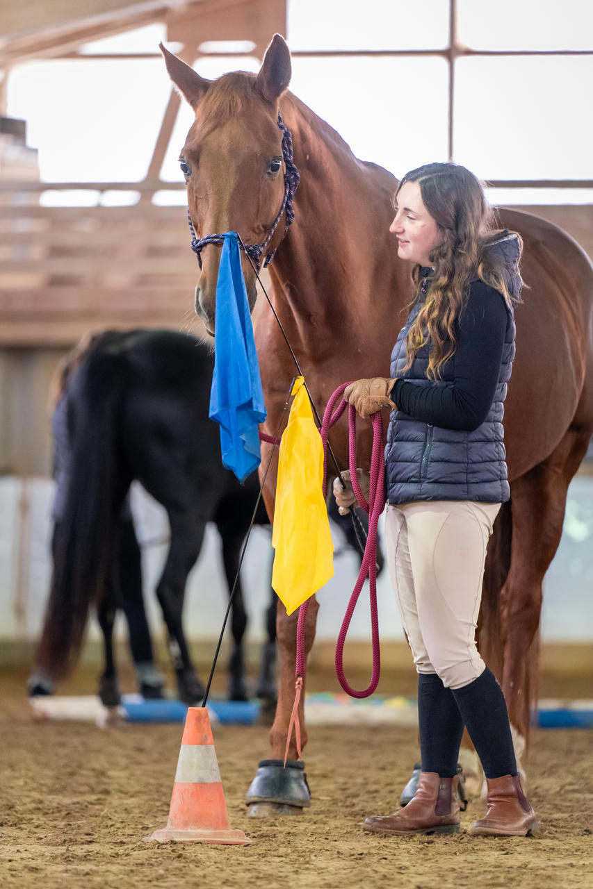 QHP Bâton d'entraînement avec drapeau