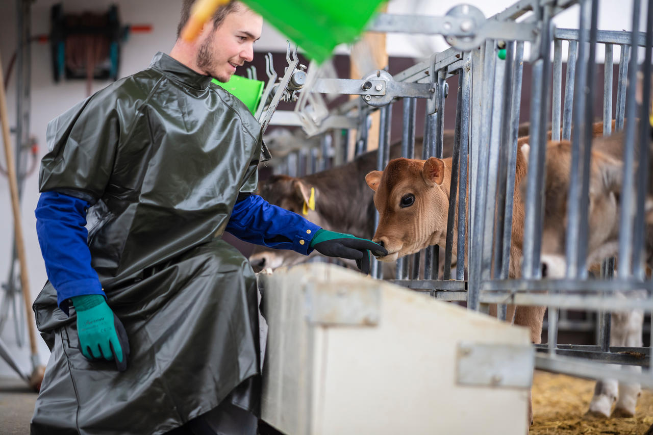 Kruuse BLOUSE POUR VÊLAGE – verte, extrêmement résistante à la déchirure