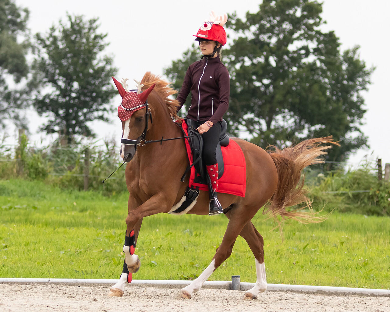 QHP Bonnet de Noël Rudolph