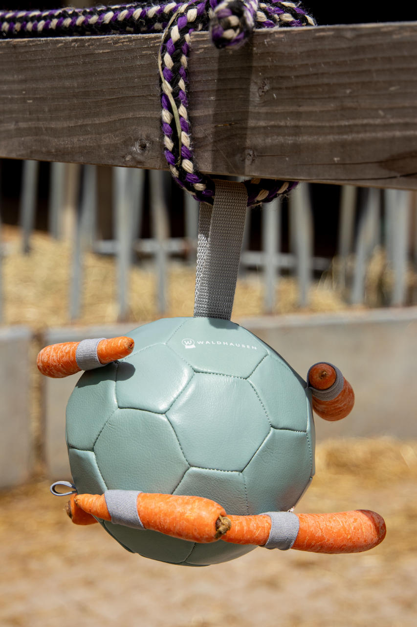 Waldhausen Balle à Carottes